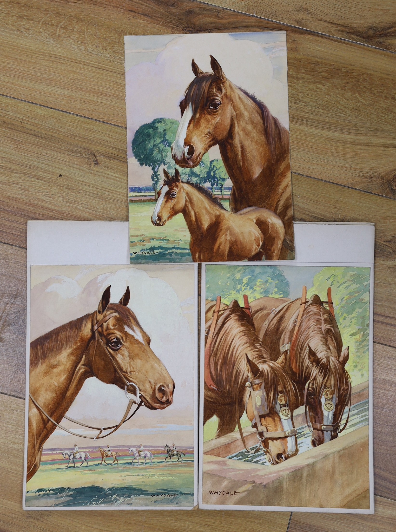 Ernest Whydale (1886-1952), three watercolours, Studies of horses, signed, 26 x 18cm, unframed